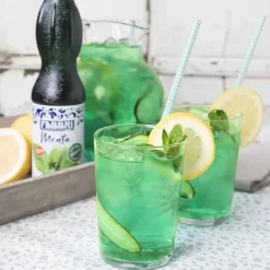 Fabbri 1905 Mint Syrup 560Ml